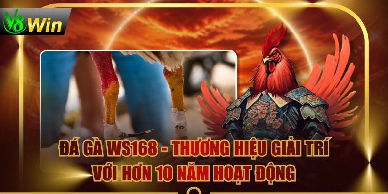 Đá Gà WS168 - Thương Hiệu Giải Trí Với Hơn 10 Năm Hoạt Động 1 Đá Gà WS168 - Thương Hiệu Giải Trí Với Hơn 10 Năm Hoạt Động Đá Gà WS168 - Thương Hiệu Giải Trí Với Hơn 10 Năm Hoạt Động