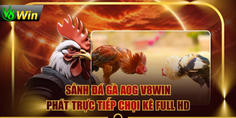 Sảnh Đá Gà AOG V8WIN Phát Trực Tiếp Chọi Kê Full HD 1 Sảnh Đá Gà AOG V8WIN Phát Trực Tiếp Chọi Kê Full HD Sảnh Đá Gà AOG V8WIN Phát Trực Tiếp Chọi Kê Full HD